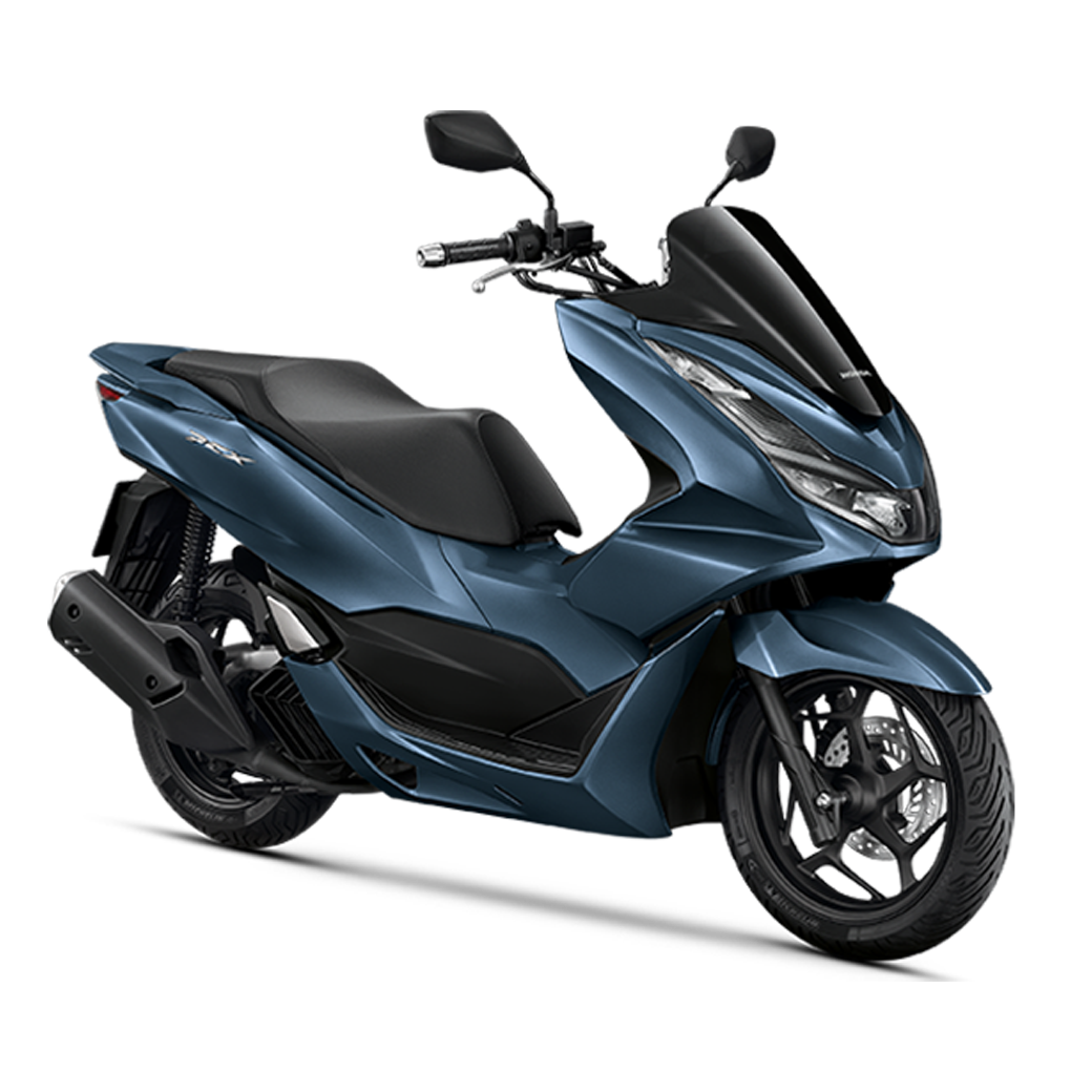 Pcx Cmyc Plasmid Pcx Cmyc Pcx Cmyc Plasmid Pcx Cmyc Sequence Pcx Cmyc Map