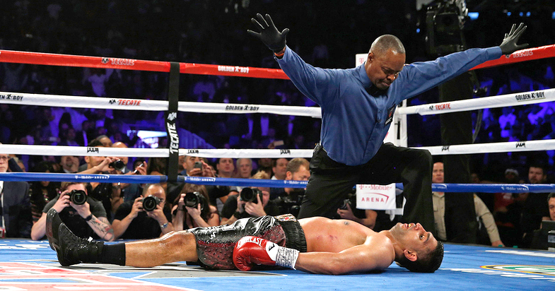 Knockout Of Mir 21 In Hek293 Cells A Strategy For Making Cas9