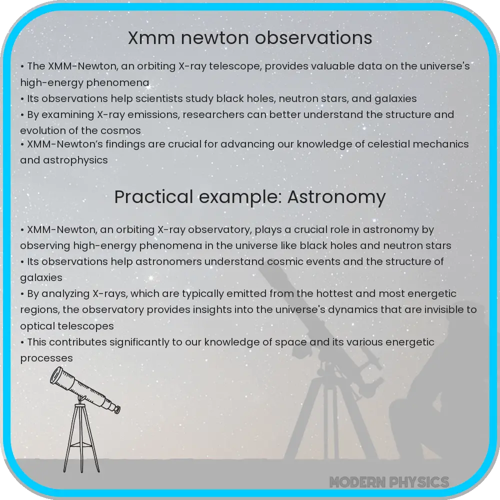 Xmm Newton Observations Of The X