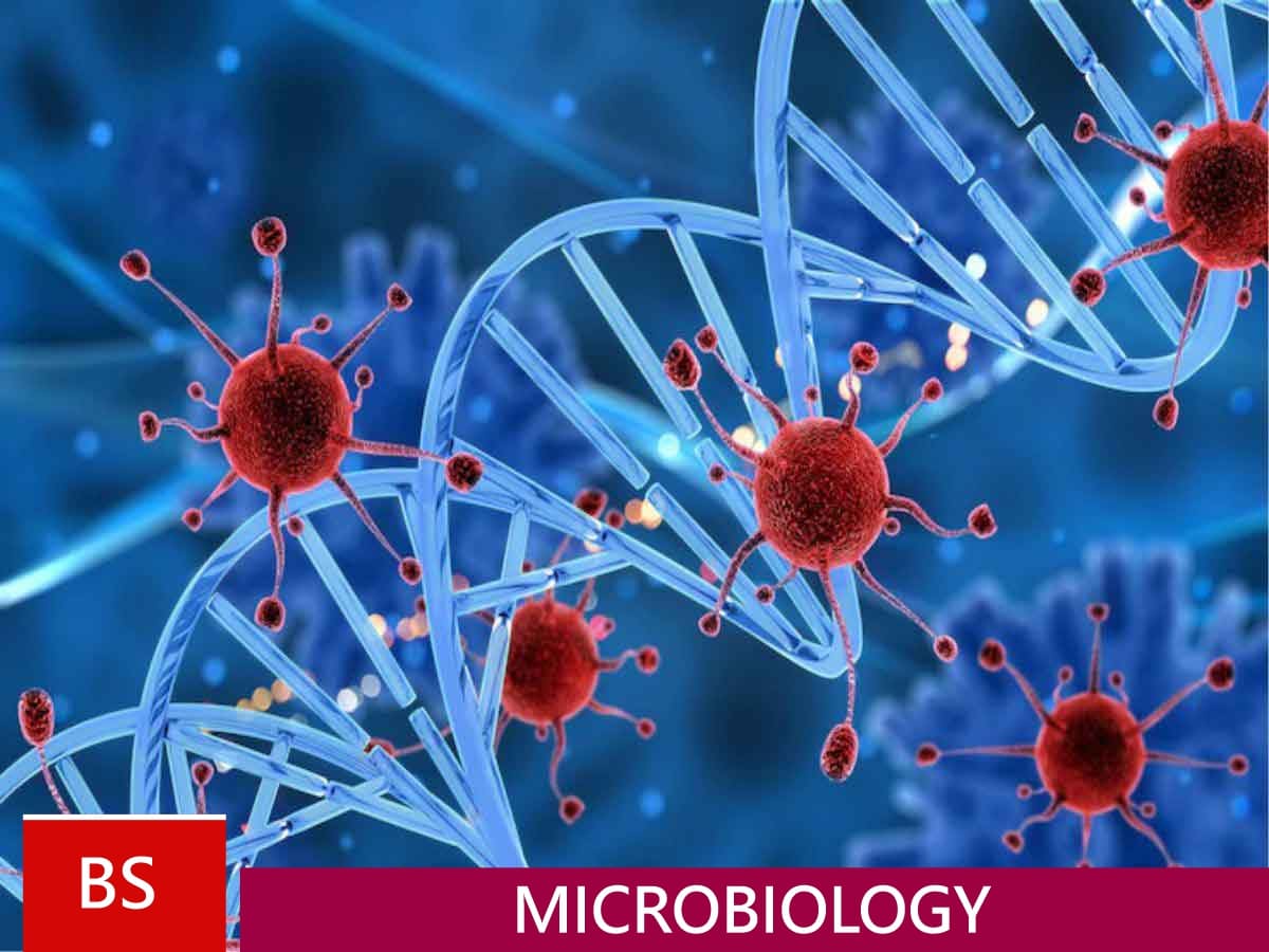 What Is Microbiology Microbiology Class