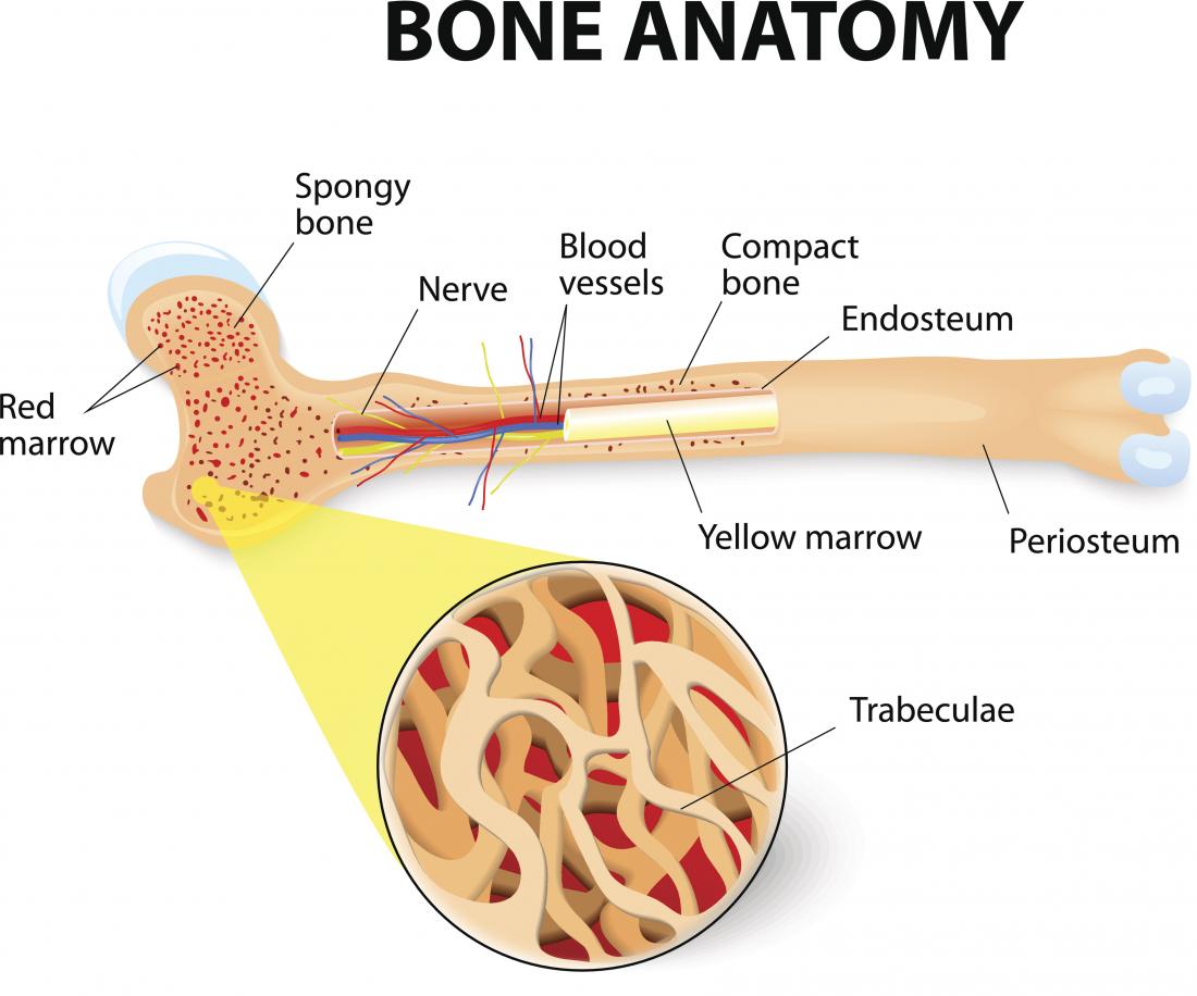 Bone Scintigraphy Using Technetium 99m Methyl Diphosphonate Showing The