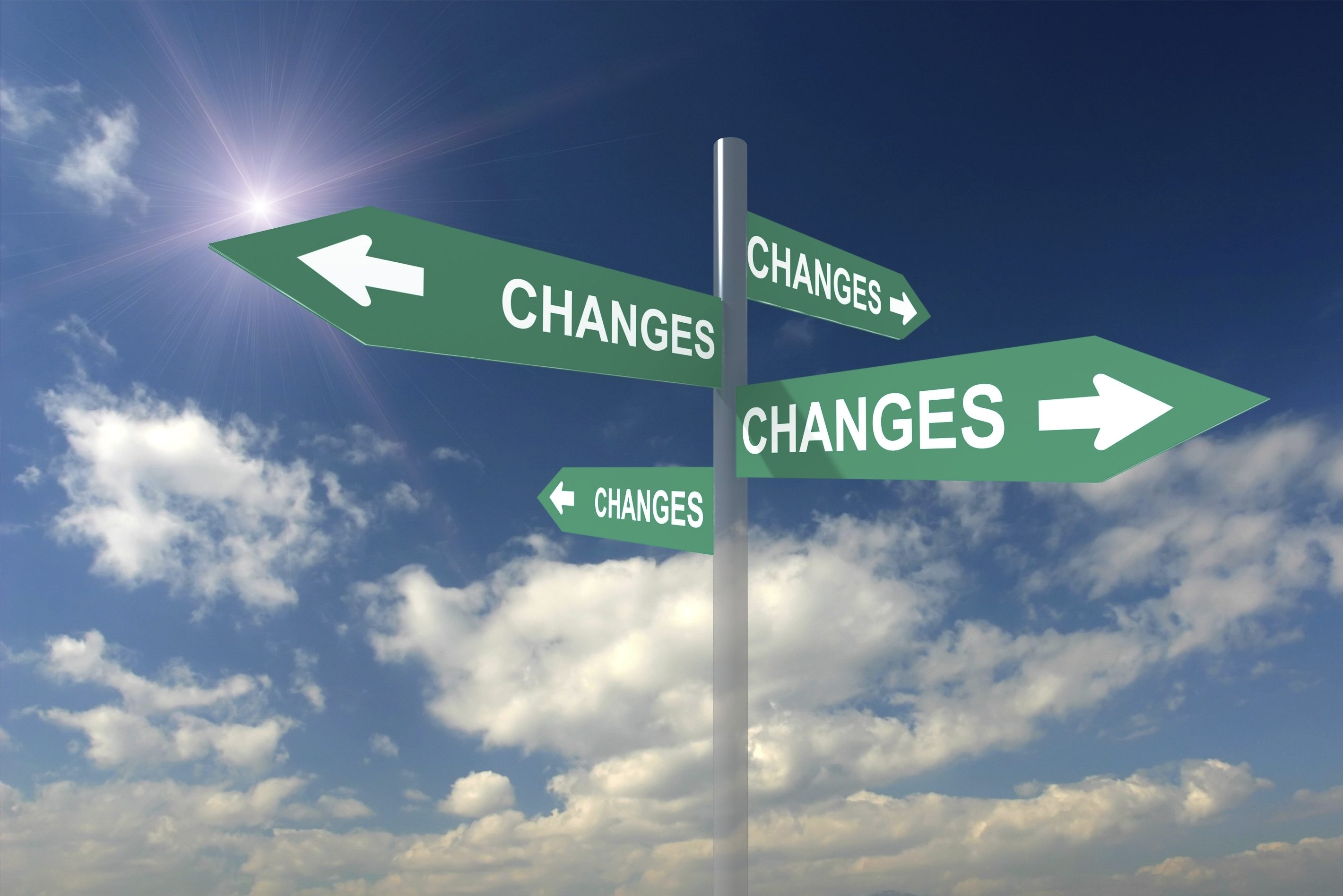 Changes In Autophagy Proteasome Activity And Metabolism To Determine A