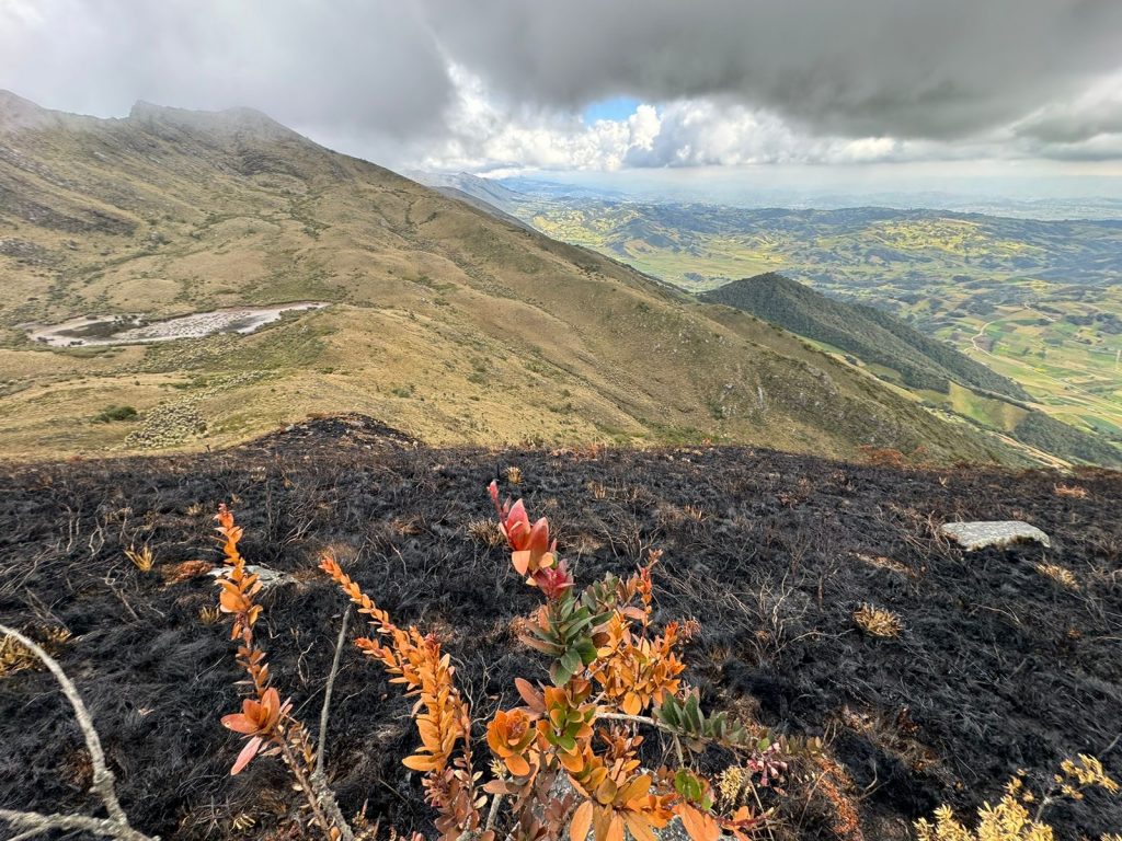 Comunicado A La Opinion Publica Parques Nacionales Naturales De Colombia