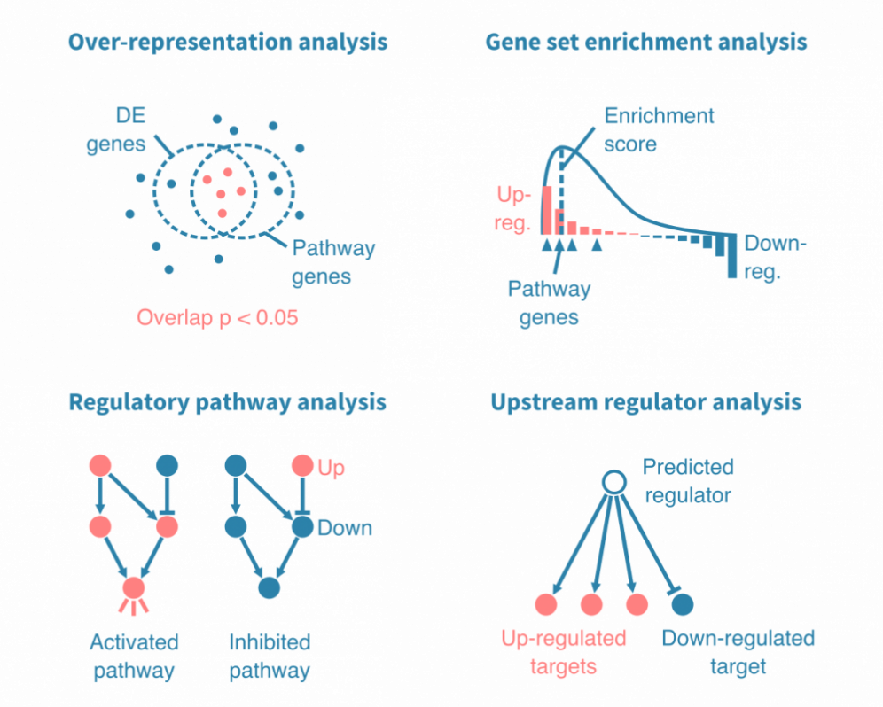 Protocol For The Acquisition And Analysis Of The Gene Expression