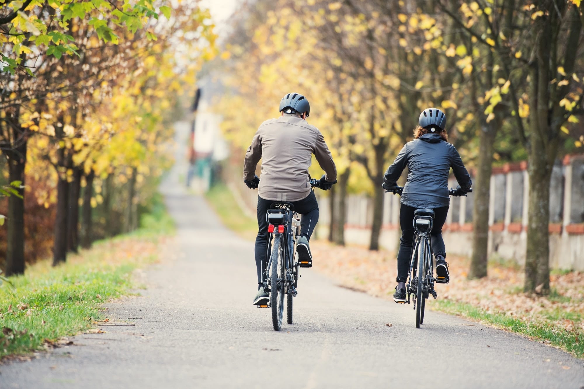 Cennik Prenajmu Vecomont