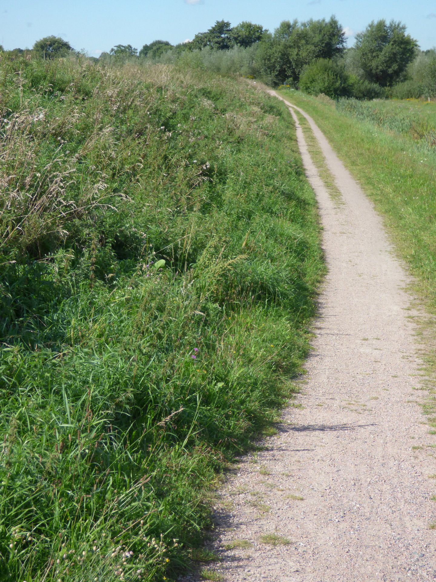 Path Obtaining Issue Help Vercel Community