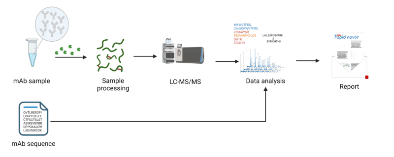 Disulfide Bond Mapping Services Unlocking Protein Structure