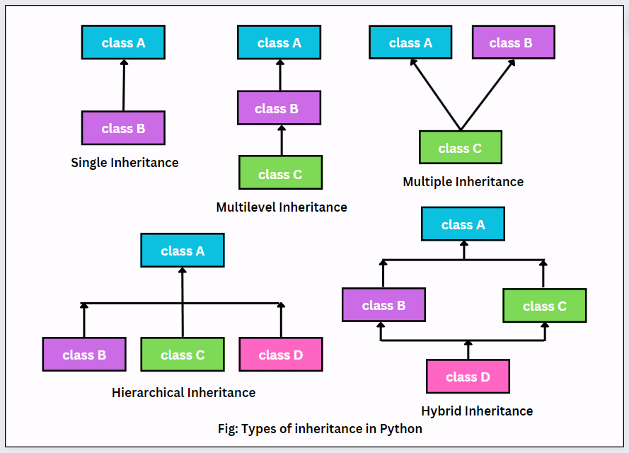 Inheritance And Genetic Crosses Flashcards Quizlet