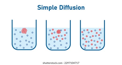 9 Diffusion Coefficients D 1 And D 2 Derived From Pcps Full Symbols