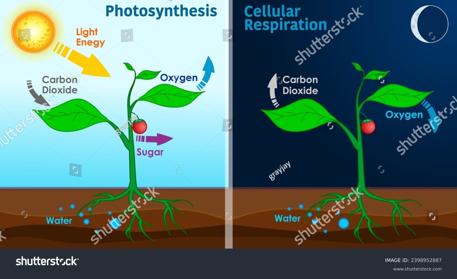 How To Separate Oxygen From Carbon Dioxide
