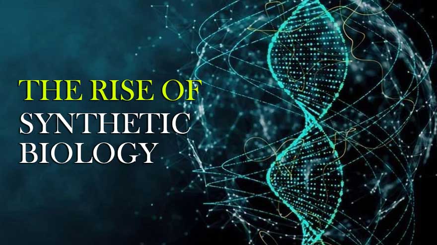 What Does Synthetic Biology Mean