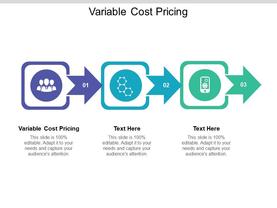 Total Variable Cost Examples Ppt Powerpoint Presentation Show Templates Cpb