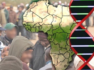 Exploring Genetic Variation Due To African Diaspora News Center