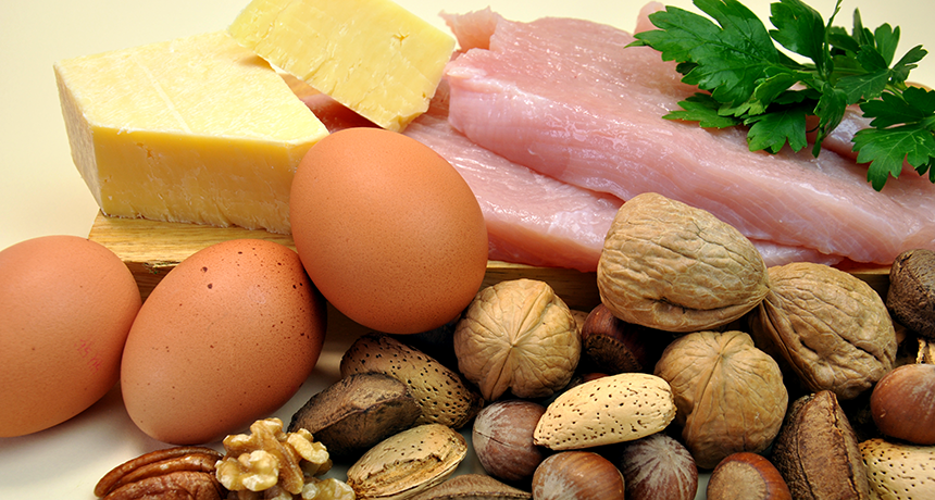 Protein Interaction Analyses By Western Blotting And Co Ip Of The Smcr8