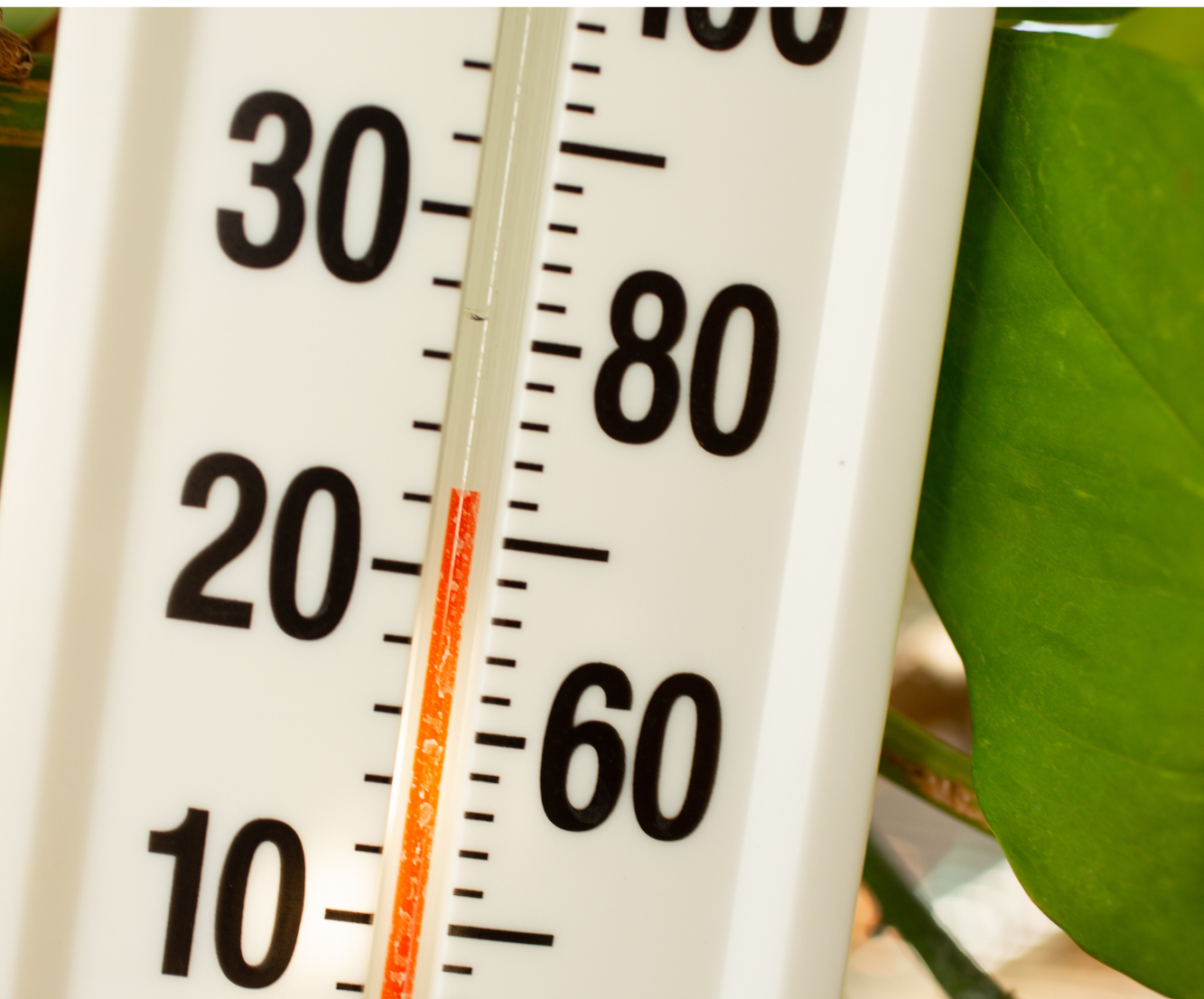 Temperature Dependence Of The Photon Pair Source S A Brightness And