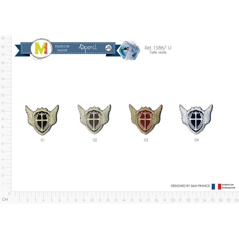 Boton Blason Stephanoise Mediac