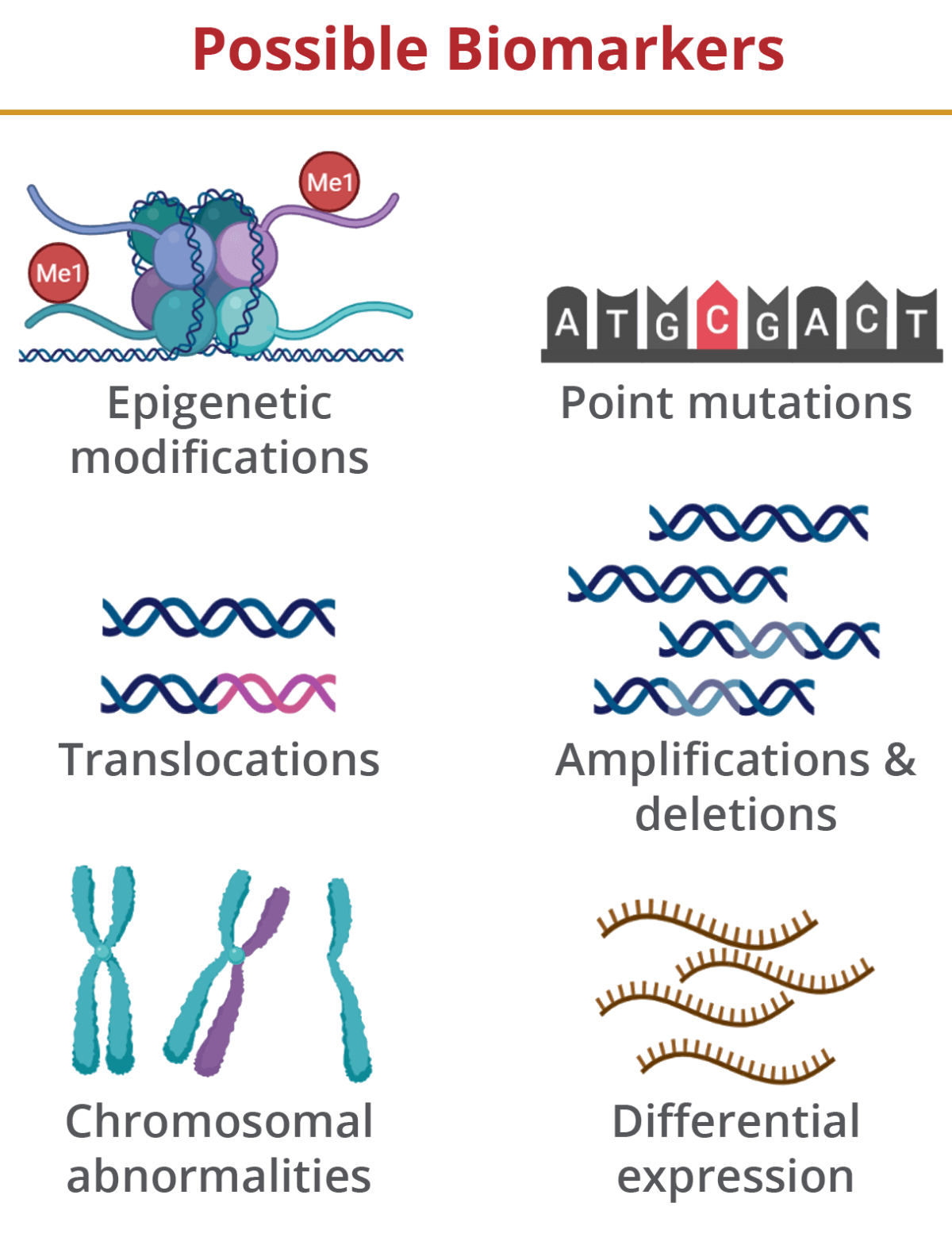 Nucleic Acid 3 Biochemistry Scanned By Tapscanner Scanned By