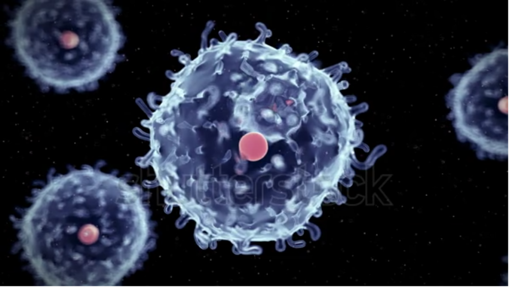 Essential Guide To Stem Cells