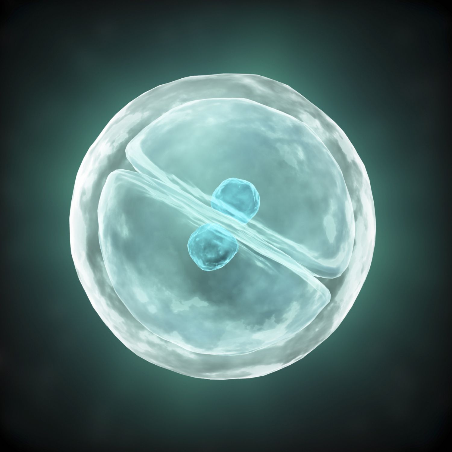 A Cell Proliferation Curves Huh7 Cells Were Infected With An Optimal