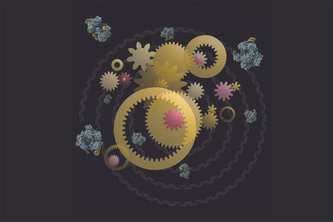 Mutations Genetic Power