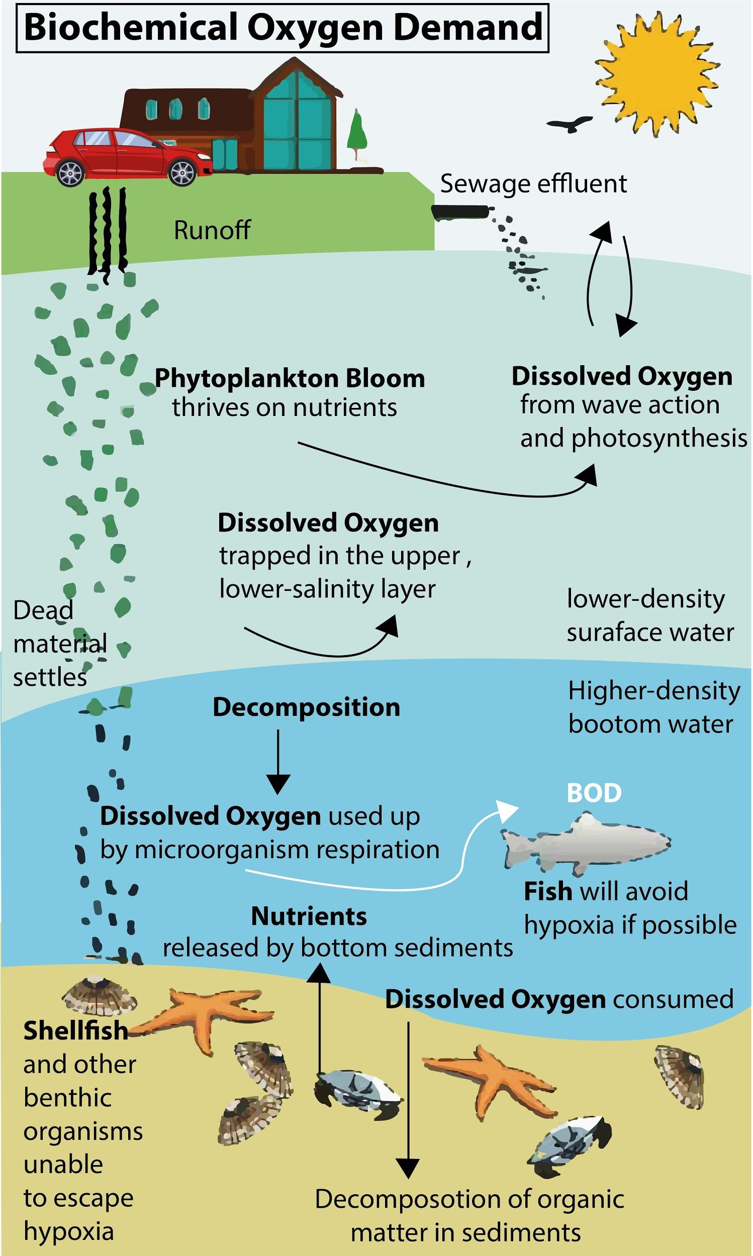 1 16 Types Of Biochemical Reactions Biology Libretexts