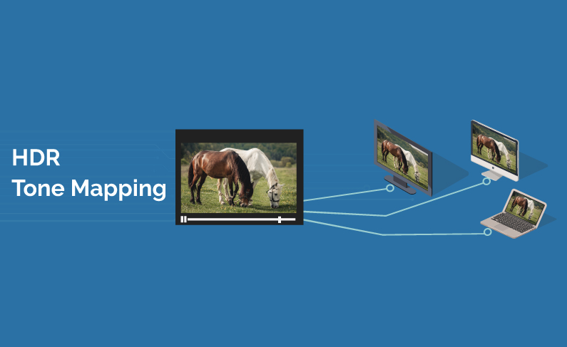 Hdr Tone Mapping Curve