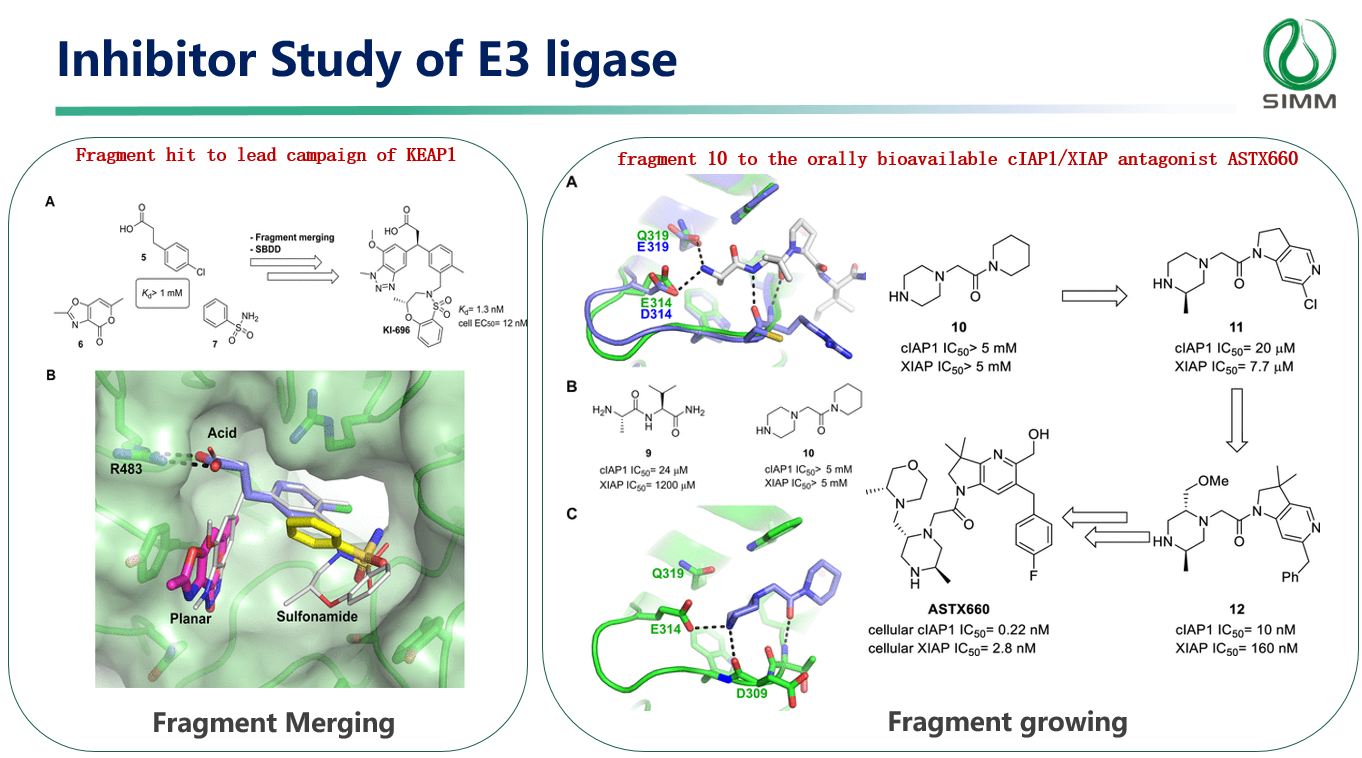 Prospective Discovery Of Small Molecule Enhancers Of An E3 Ligase