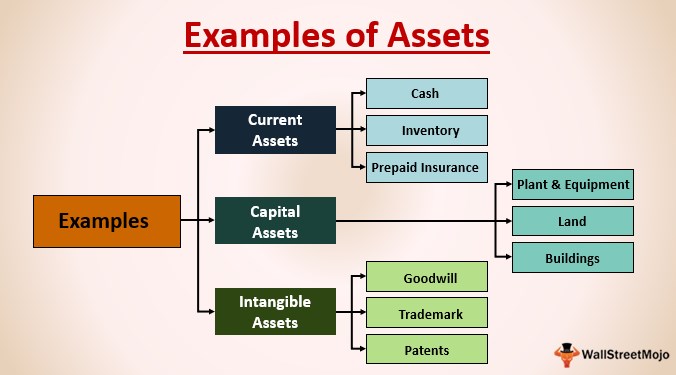 Assets With Cholera