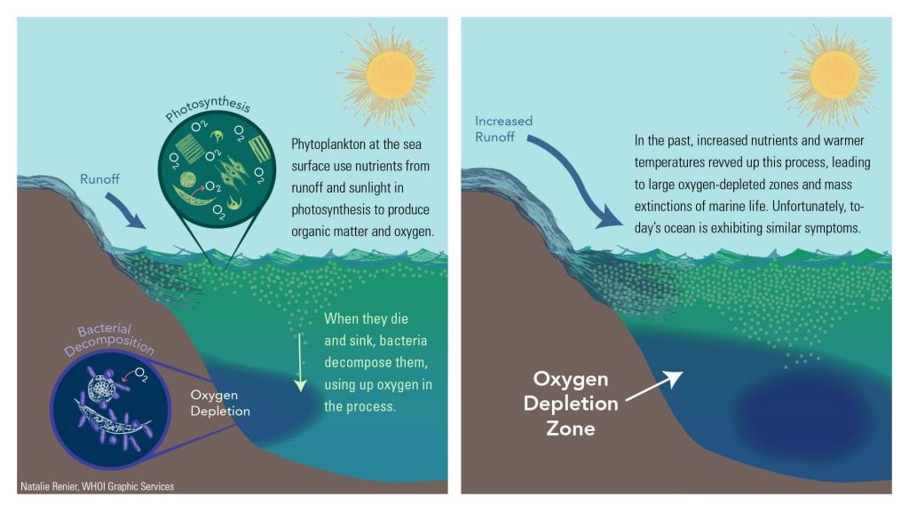 Deoxygenation Of The Oceans Past Present And Future Influence Of
