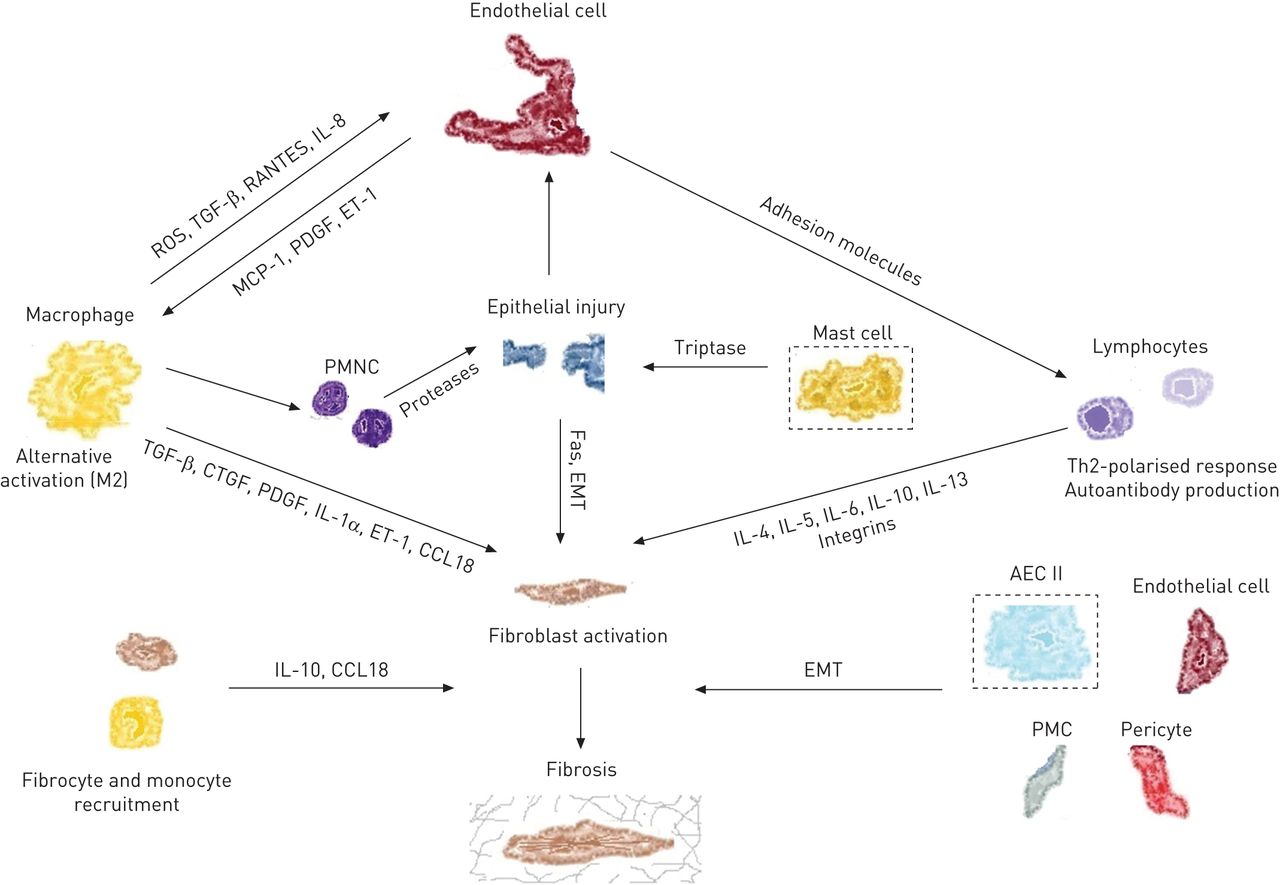 Cgcg Box Gene Transcription Laboratory Wikidoc