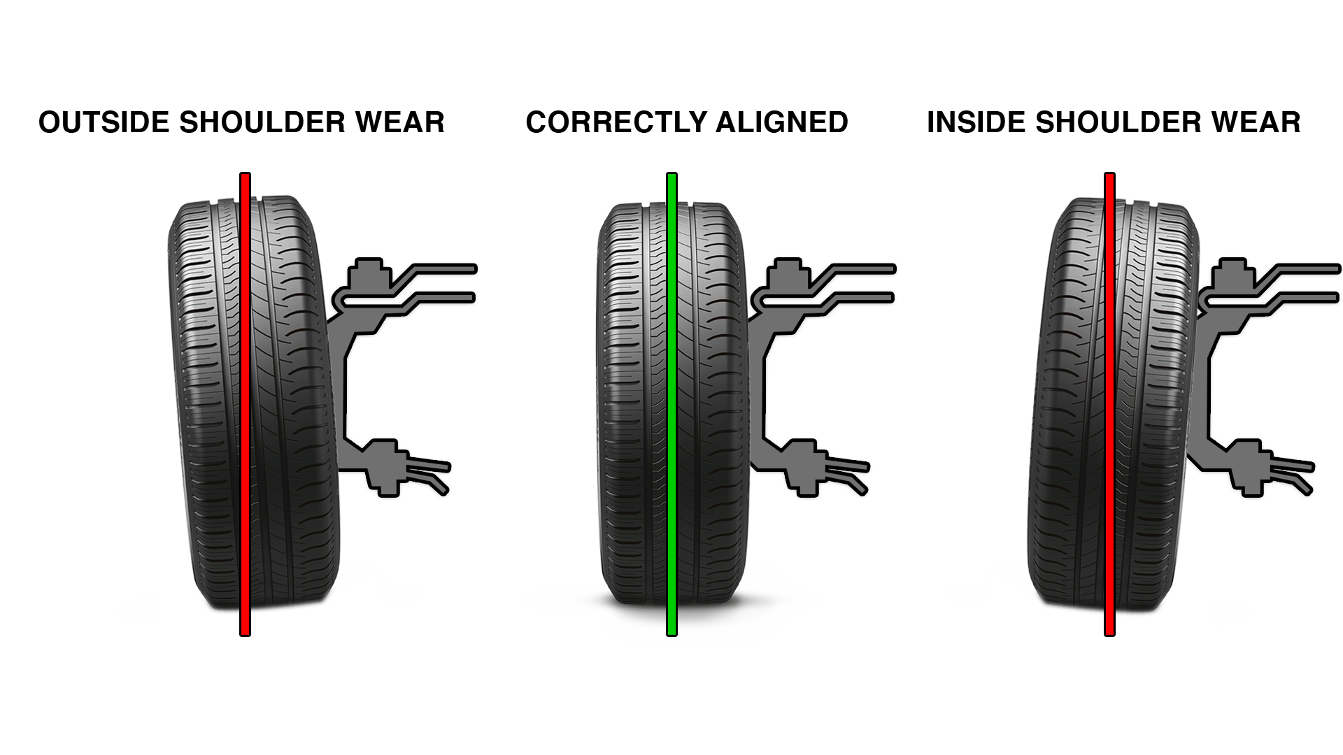 Alignment And Conserved Motifs Of Ntpyls Amino Acid Sequence Alignment