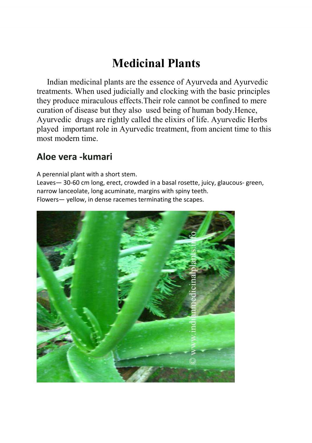 Pdf Traditionally Used Indian Medicinal Plants Exhibits Contraceptive
