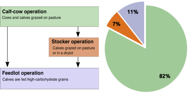 Metastudy On Diet Impact On Ammonia Emissions All About Feed
